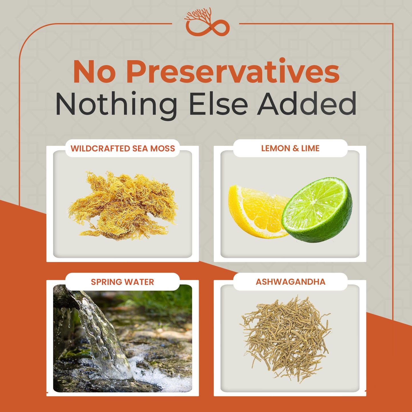 Sea Moss Gel + Ashwagandha Root