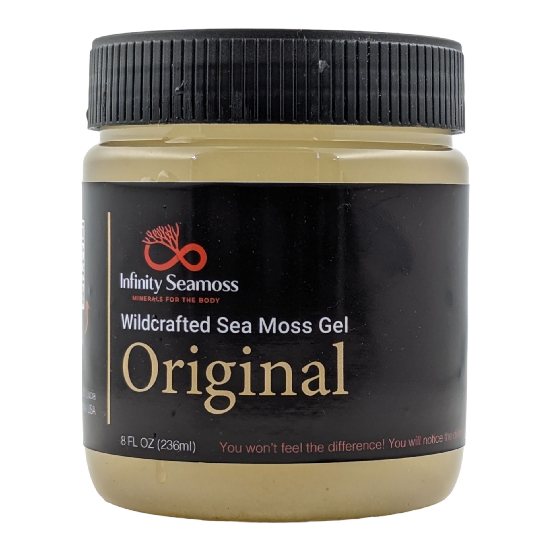 Original Sea Moss Gel – 4oz to 32oz | Infinity Seamoss